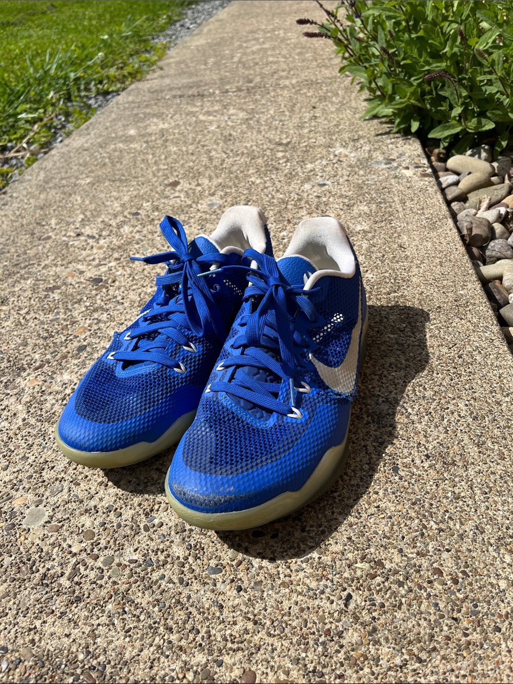 Nike men Royal Blue Low-Top basketball shoes with White Swoosh
